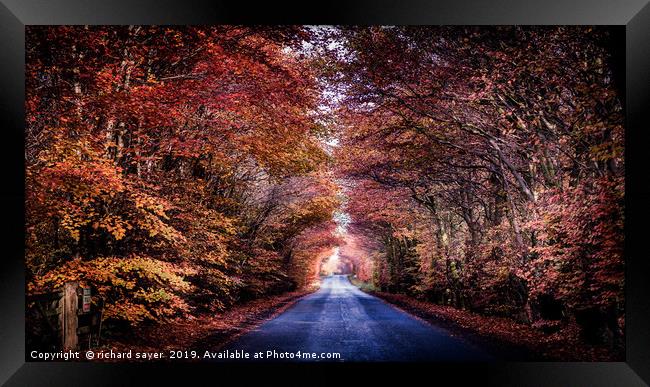 A Road to Autumns Glory Framed Print by richard sayer