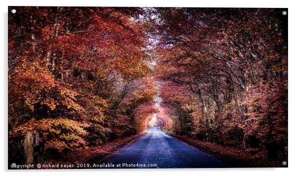 A Road to Autumns Glory Acrylic by richard sayer