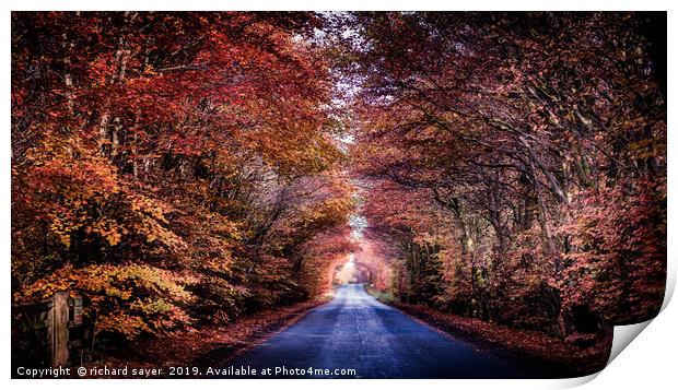 A Road to Autumns Glory Print by richard sayer