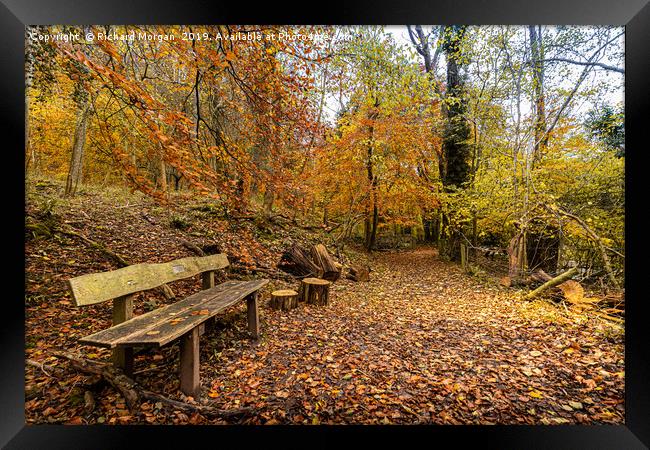 Autumnal Walk  Framed Print by Richard Morgan