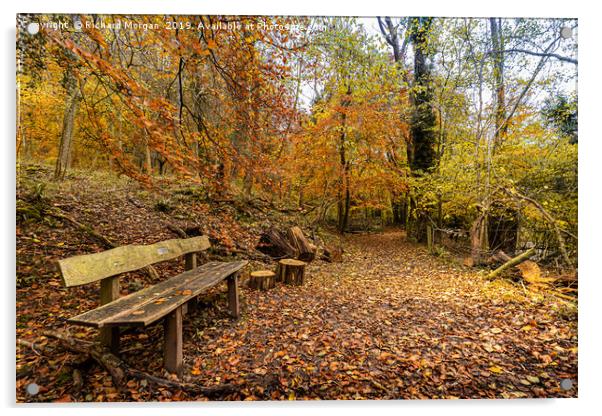 Autumnal Walk  Acrylic by Richard Morgan