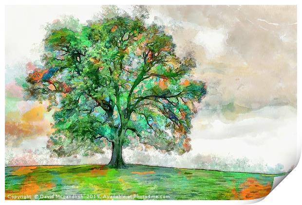 The Mighty Oak Print by David Mccandlish