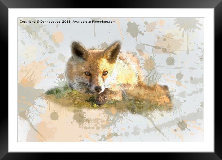 Foxy fox Framed Mounted Print by Donna Joyce