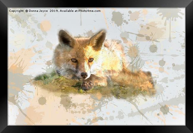 Foxy fox Framed Print by Donna Joyce