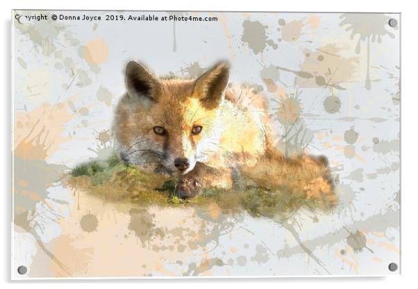 Foxy fox Acrylic by Donna Joyce