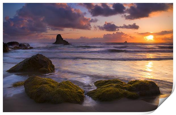 Golden Tides Print by Mike Dawson