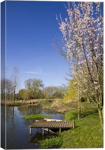 Tranquil Coltishall Scene Canvas Print by Paul Macro