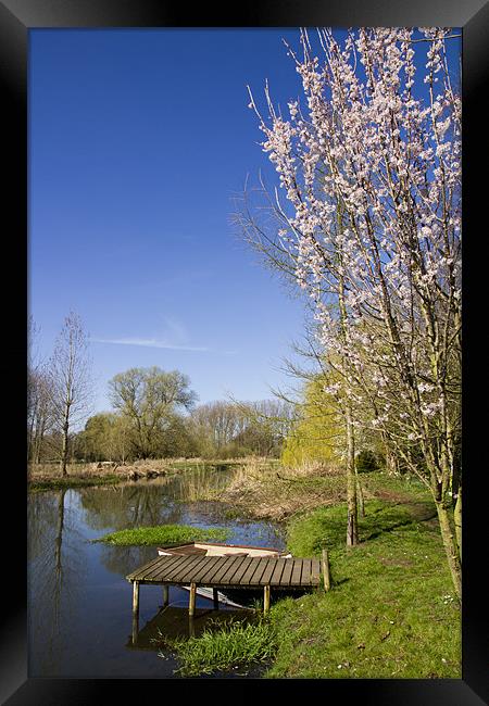 Tranquil Coltishall Scene Framed Print by Paul Macro