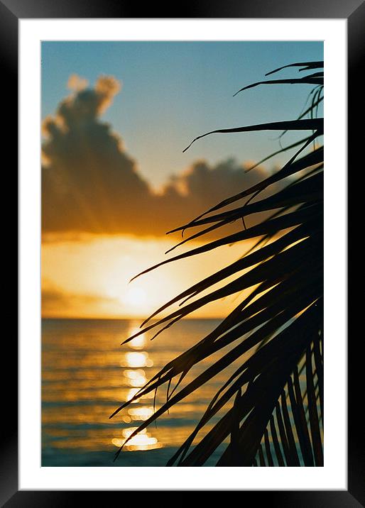 Caribbean Sunset, Barbados Framed Mounted Print by David Gardener