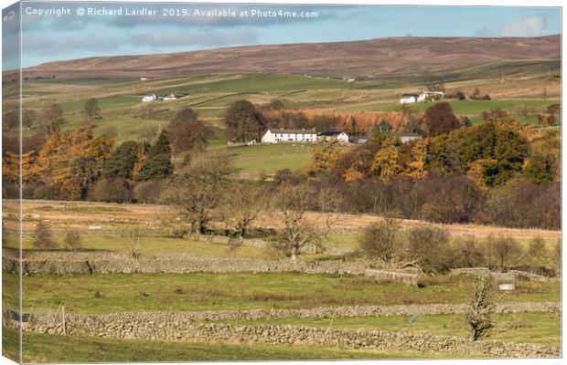 East Friar House from Holwick, Teesdale Canvas Print by Richard Laidler