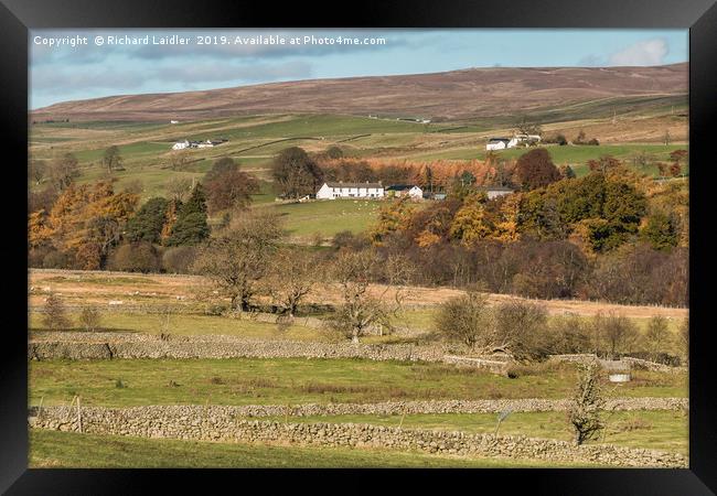 East Friar House from Holwick, Teesdale Framed Print by Richard Laidler