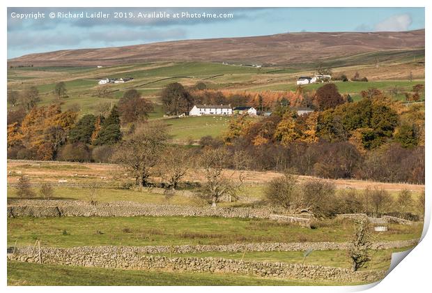 East Friar House from Holwick, Teesdale Print by Richard Laidler
