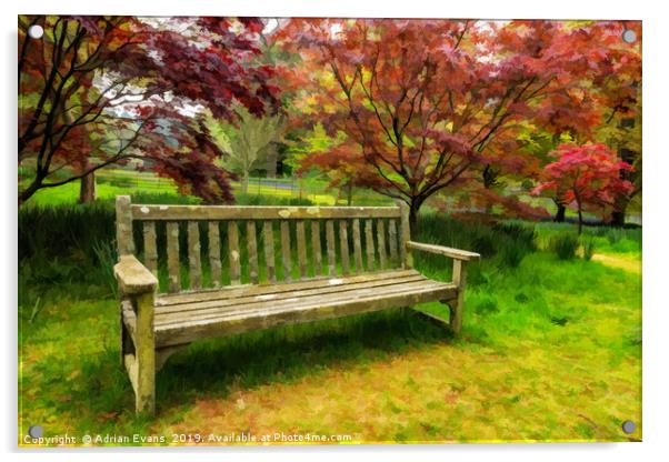 Garden Bench Acrylic by Adrian Evans