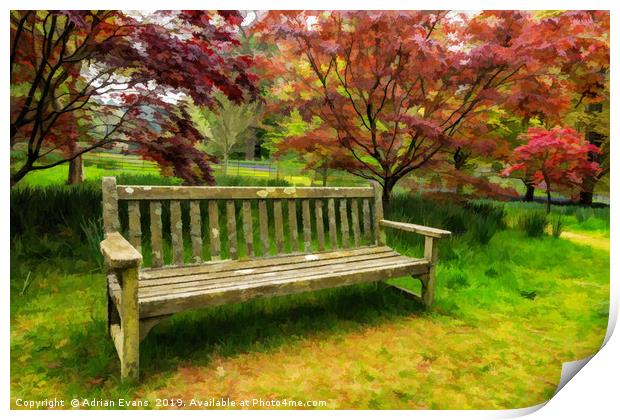 Garden Bench Print by Adrian Evans