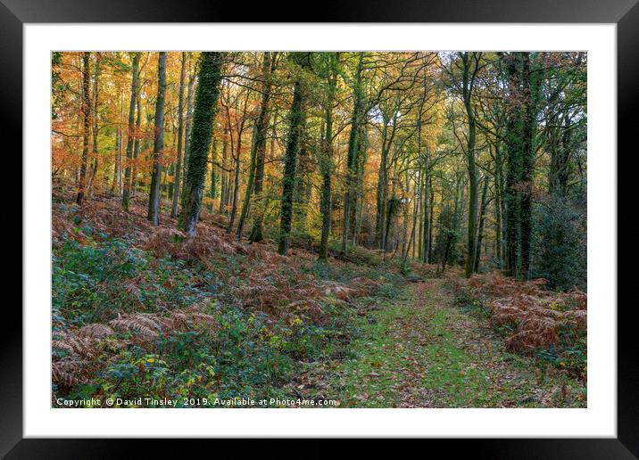 Footpath to Bradley Hill Framed Mounted Print by David Tinsley