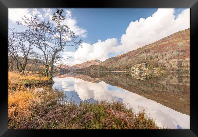 Morning calm Framed Print by Jonathon barnett