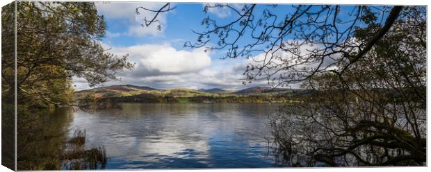 Trees overhanging Lake Windermere Canvas Print by Jason Wells