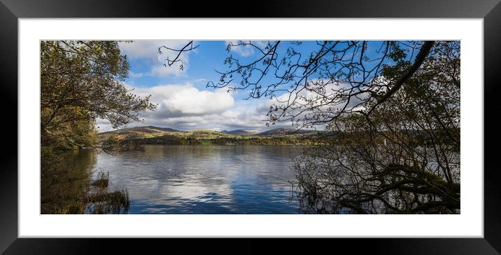 Trees overhanging Lake Windermere Framed Mounted Print by Jason Wells
