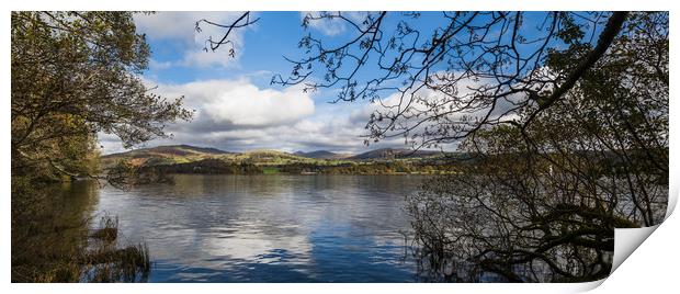 Trees overhanging Lake Windermere Print by Jason Wells