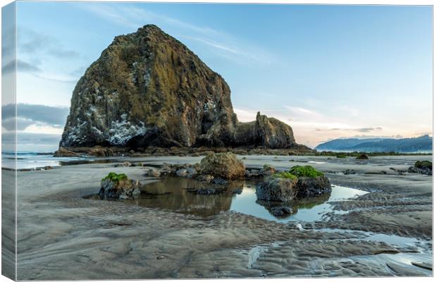 Morning at Cannon Beach Canvas Print by Belinda Greb