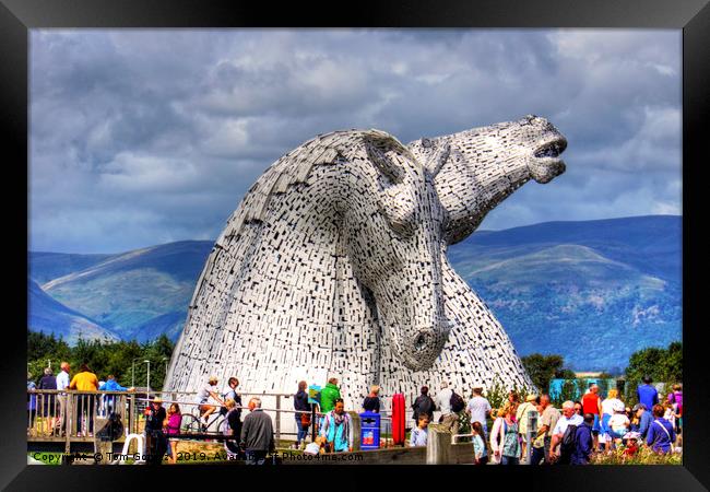 Come see the Kelpies Framed Print by Tom Gomez