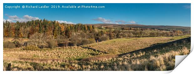 Upper Teesdale Panorama, Holwick Head to Newbiggin Print by Richard Laidler