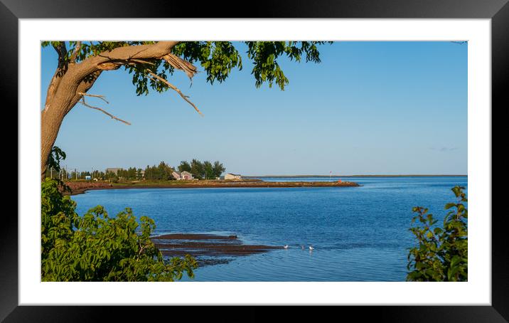 Bouctouche, New Brunswick, Canada Framed Mounted Print by Mark Llewellyn