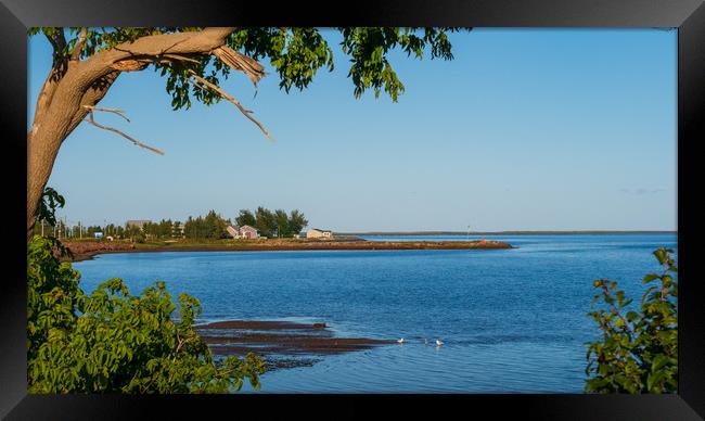 Bouctouche, New Brunswick, Canada Framed Print by Mark Llewellyn