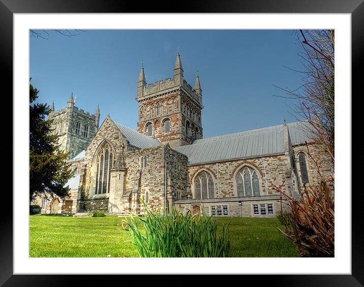 Wimborne Minster Church Framed Mounted Print by Louise Godwin