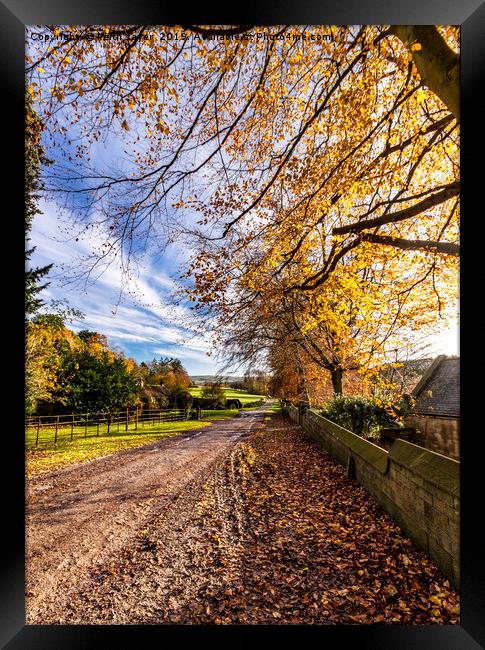 Autumn Walk Egton Bridge. Framed Print by keith sayer