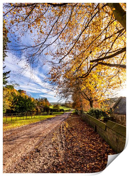 Autumn Walk Egton Bridge. Print by keith sayer