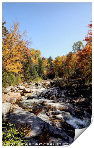 Vermont Autumn Beauty Print by Jan Gregory