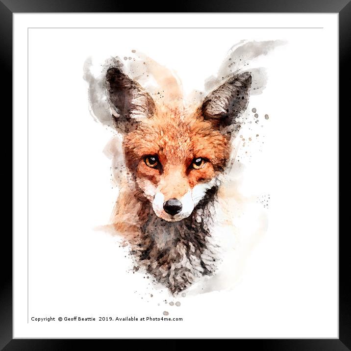 Red fox in watercolour Framed Mounted Print by Geoff Beattie