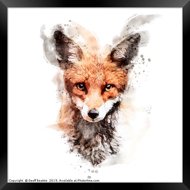 Red fox in watercolour Framed Print by Geoff Beattie