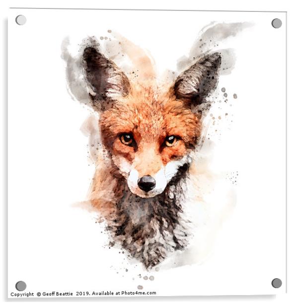 Red fox in watercolour Acrylic by Geoff Beattie