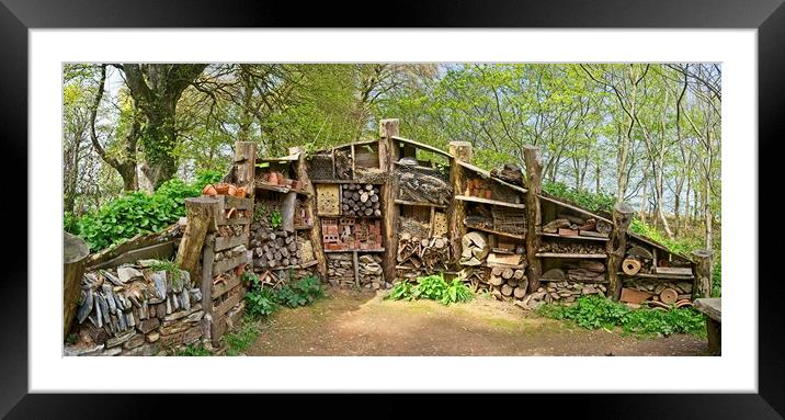 Insect Hotel at the Lost Garden of Heligan Framed Mounted Print by Paul Cooper