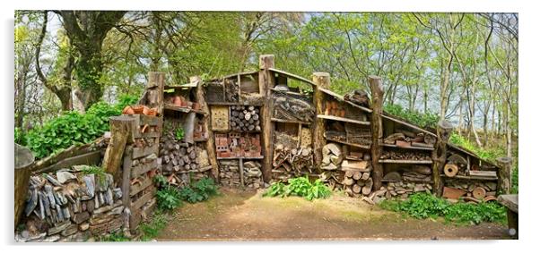 Insect Hotel at the Lost Garden of Heligan Acrylic by Paul Cooper