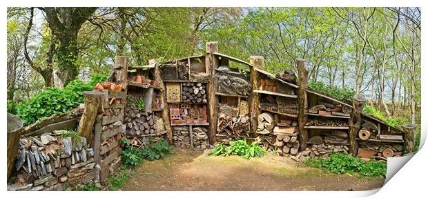 Insect Hotel at the Lost Garden of Heligan Print by Paul Cooper