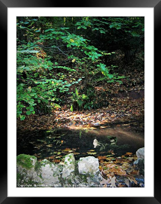 The Hidden Pool Framed Mounted Print by Heather Goodwin