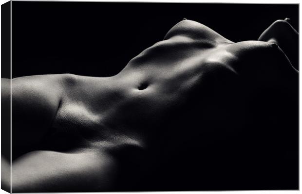 Nude woman bodyscape 47 Canvas Print by Johan Swanepoel