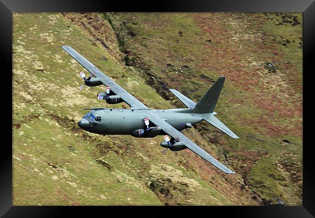 RAF Hercules low level Framed Print by Oxon Images