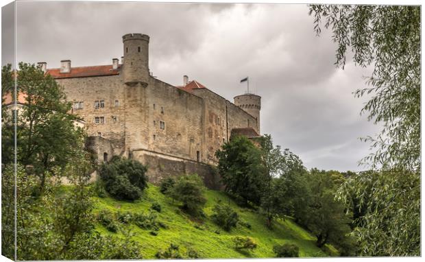 Castle with towers on a hill Canvas Print by Jelena Maksimova