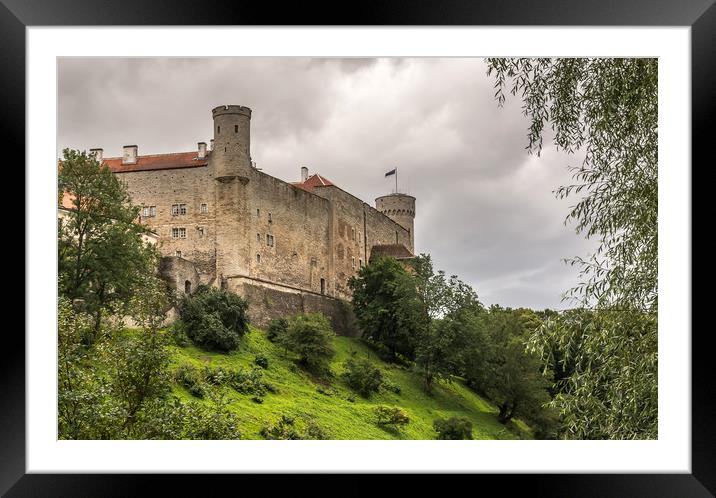 Castle with towers on a hill Framed Mounted Print by Jelena Maksimova