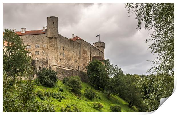 Castle with towers on a hill Print by Jelena Maksimova