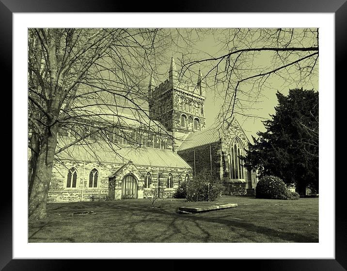 Wimborne Minster Church Framed Mounted Print by Louise Godwin