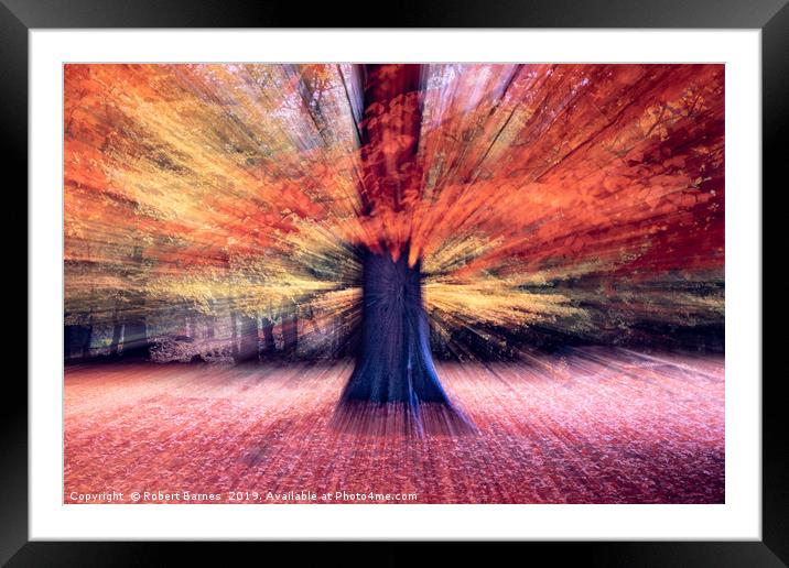Distorted Forest Framed Mounted Print by Lrd Robert Barnes