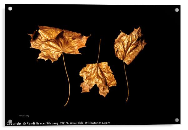 Golden Trio Acrylic by Randi Grace Nilsberg