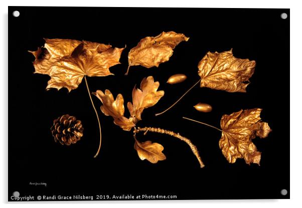 Collection of Gold Acrylic by Randi Grace Nilsberg