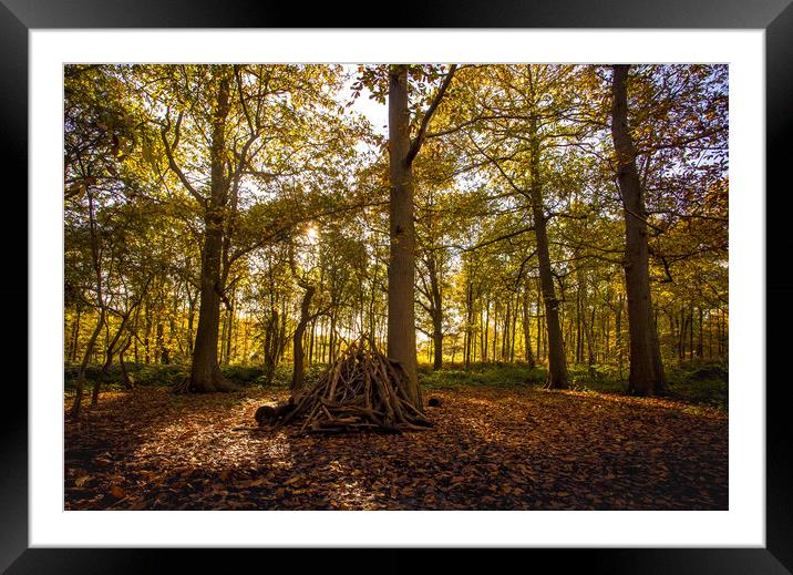 Autumn fire wood Framed Mounted Print by Steve Mantell