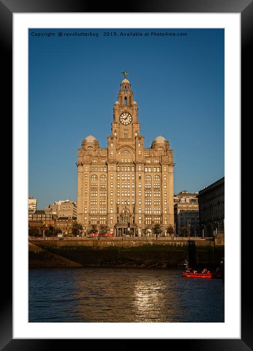 The Liver Building Framed Mounted Print by rawshutterbug 